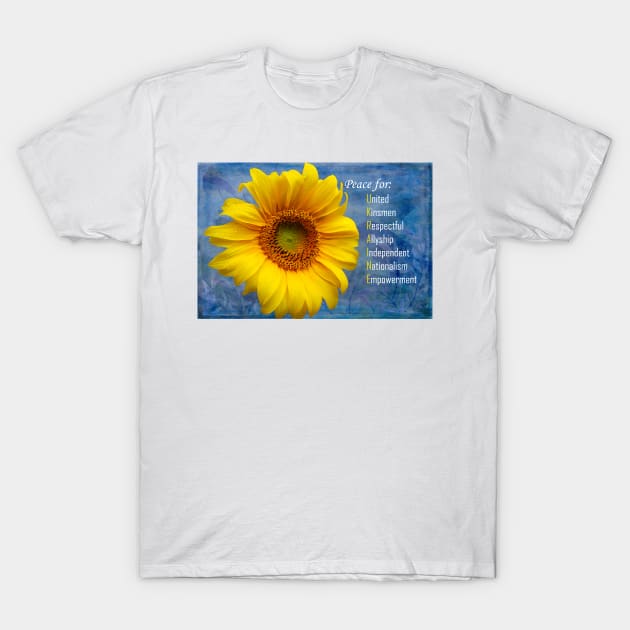 Peace For Ukraine T-Shirt by ninasilver